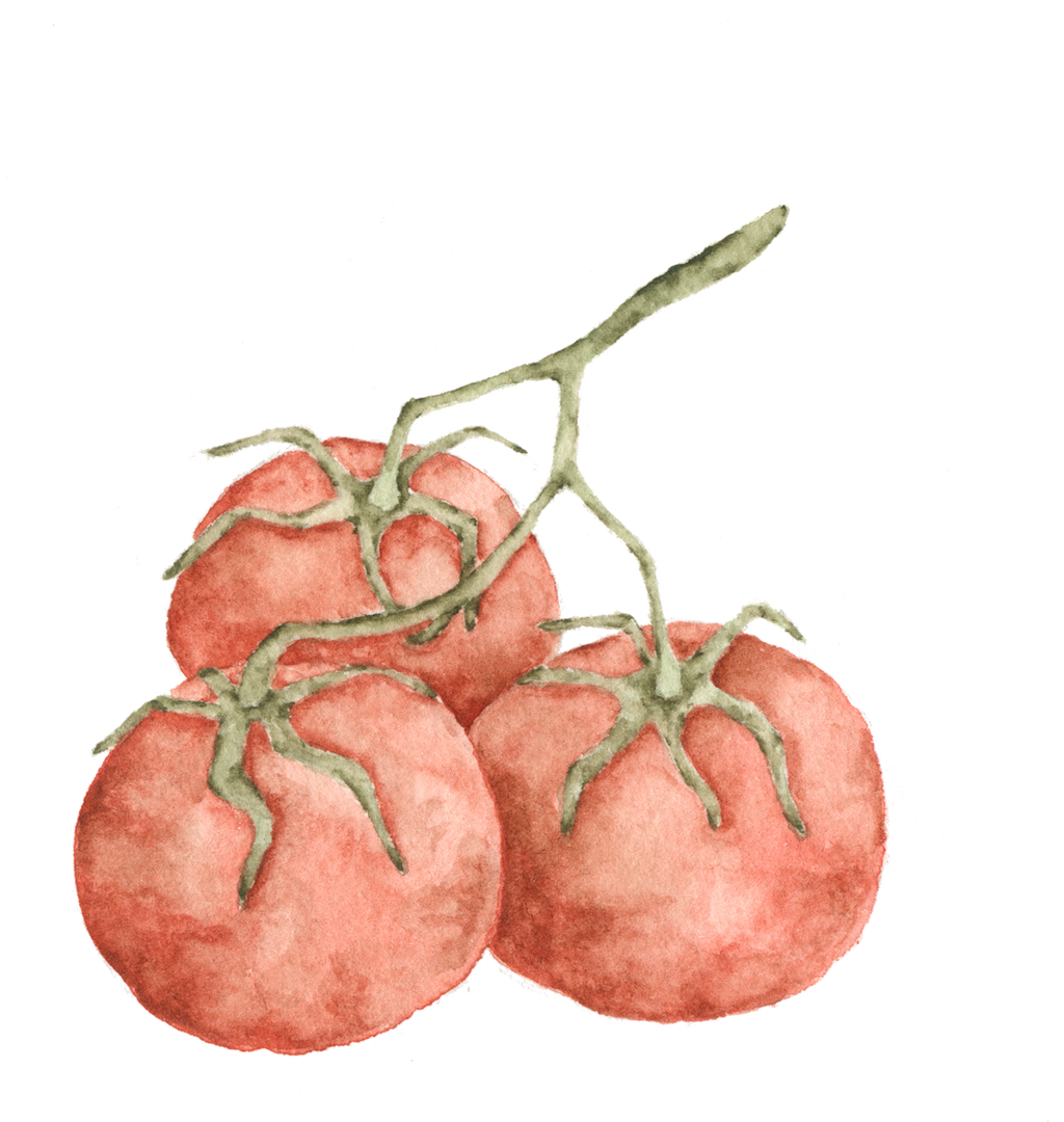 Confetti Gardens Easy to Grow PollinatorFriendly Flowers and Vegetables