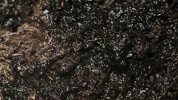 Close-up view of dark, organic matter, possibly soil or compost texture
