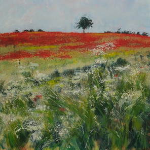 LONE TREE AND POPPIES