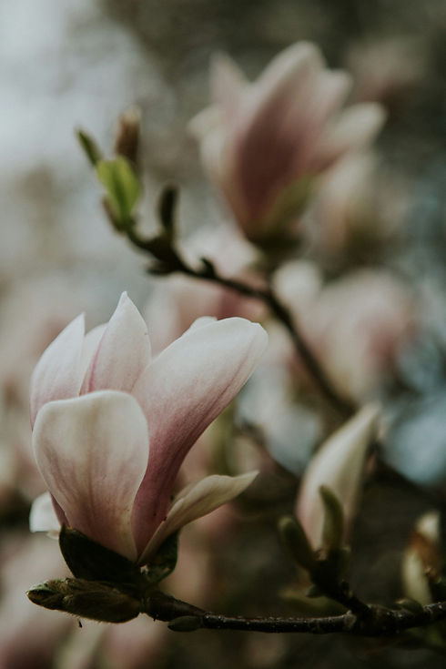 thumbnail_marta-filipczyk-AS94u4ZtDRM-unsplash.jpg