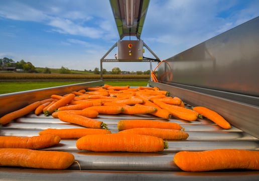 Firma_Michalak_II_21 (1).jpg