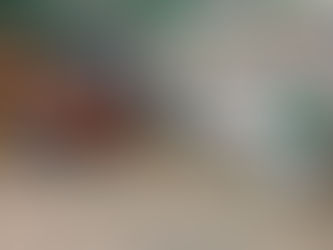 Instalace kompaktní posklizňové linky na brambory a cibuli: výkon na pár metrech