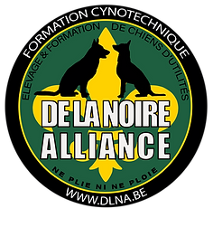 Blason avec dlna.png