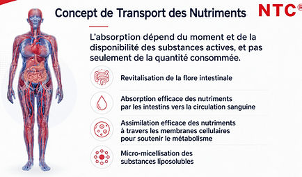 activité à domicile bien-être par où commencer