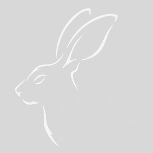 singel hare website_edited.jpg