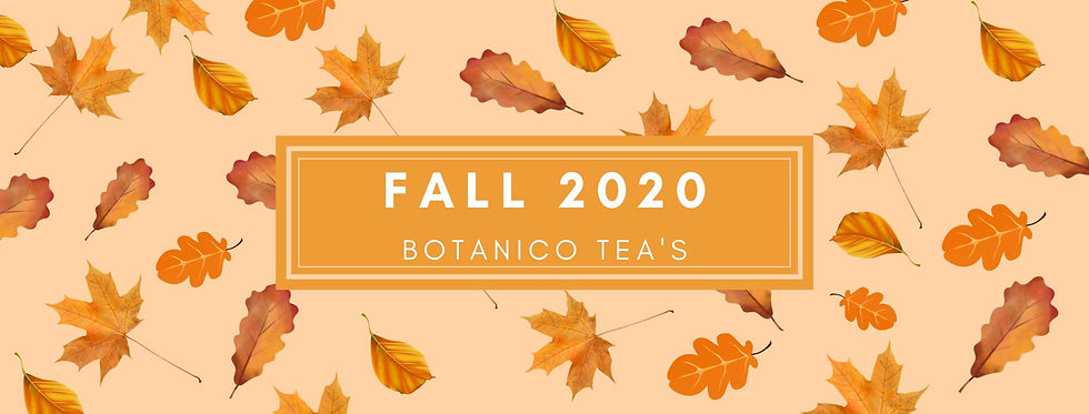 FALL%202020_edited.jpg