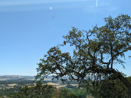 Central Coast overnighter