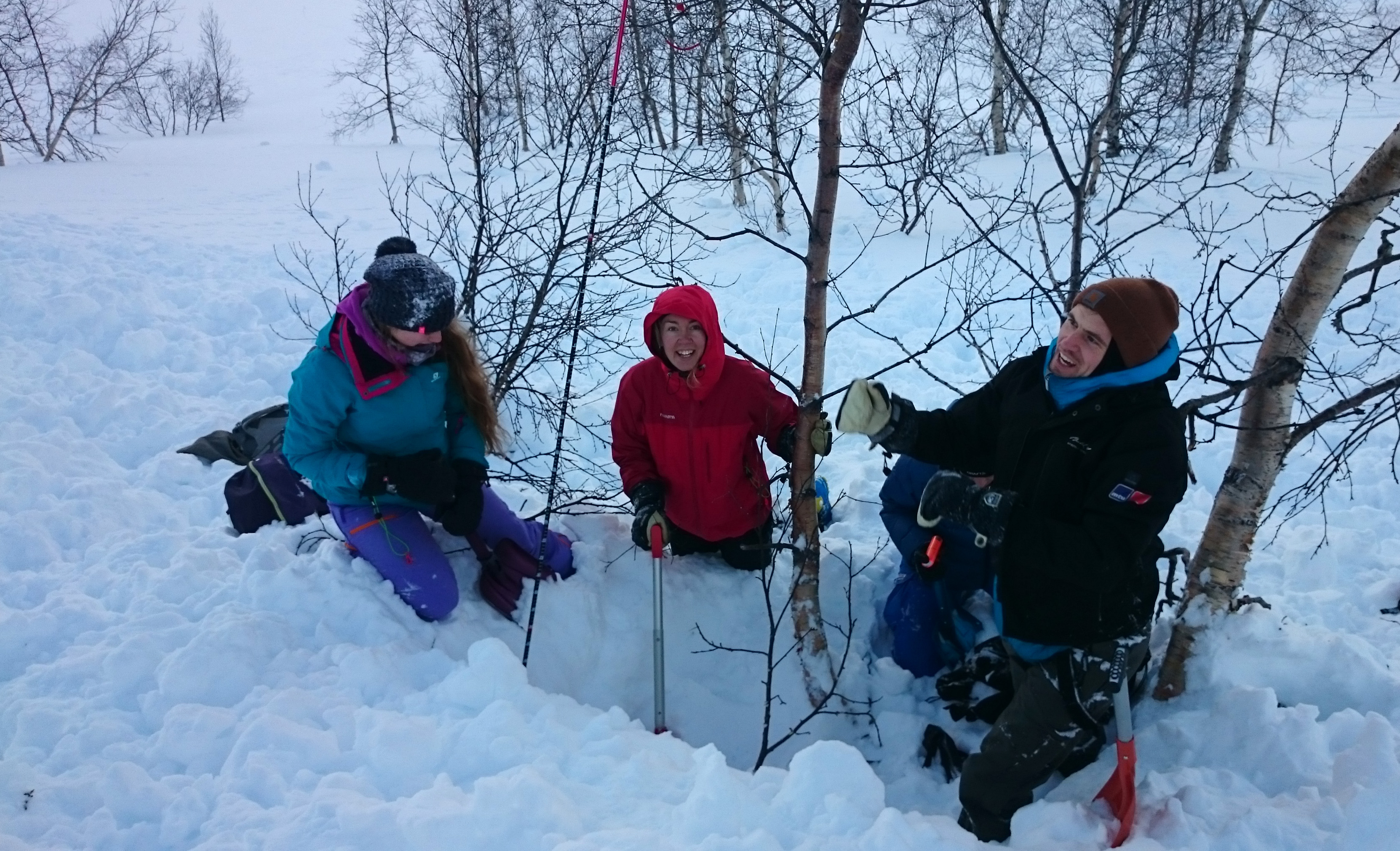Ateliers Avalanche