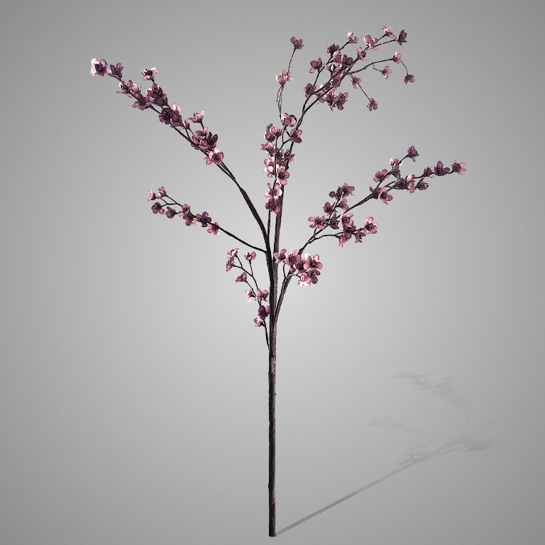 Brynxz Prunus Grande Delight Pink 130 cm