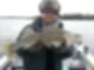 moosehorn fish.webp