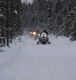 snowmobiles on a trail near kabetogama
