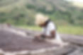 JNP Coffee in Burundi looking at dry coffee beans