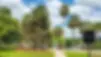oark.webp