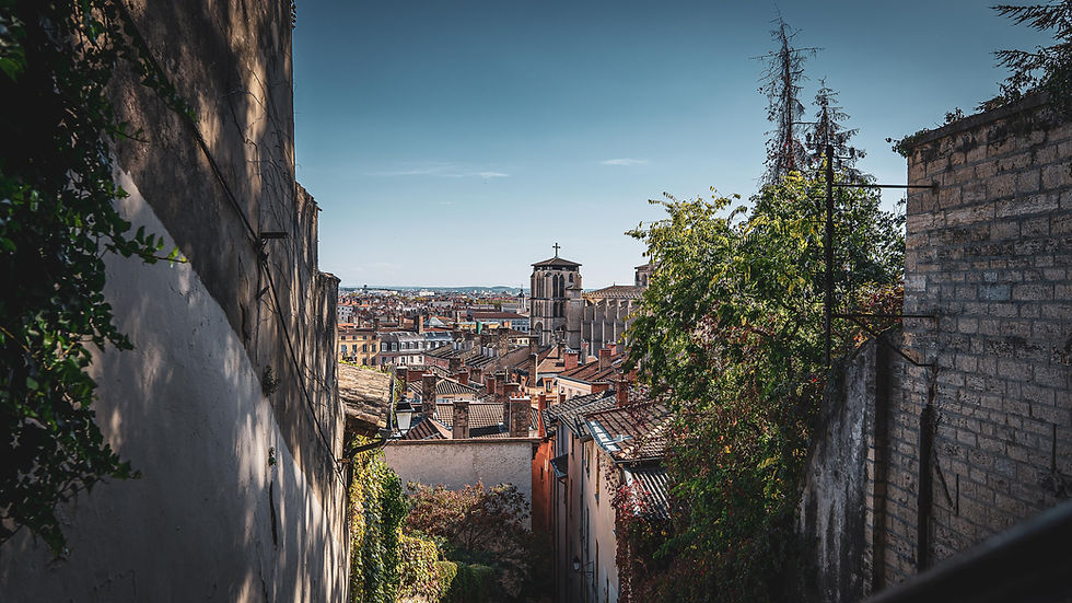 Cedrat avocats - avocat droit des societes lyon