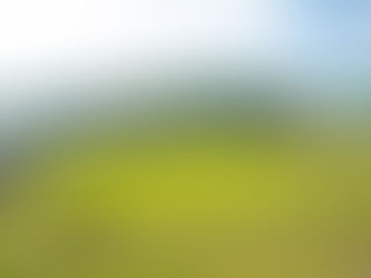 園内、広場、ご利用の上での注意事項について