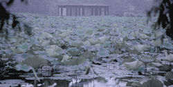 HANGZHOU