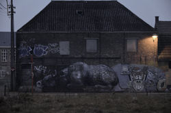 DOEL
