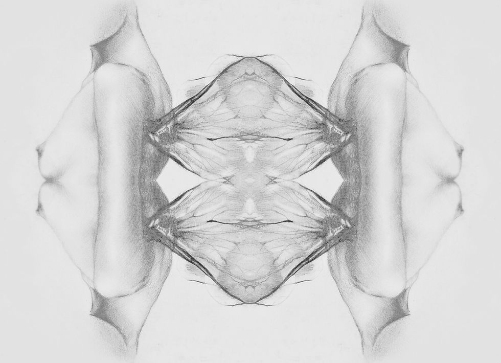 PENCIL DRAWING
