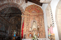 IMG_1384.jpg