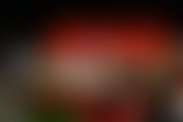 FAIRE ENSEMBLE LE VIVRE ENSEMBLE