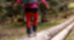 Accompagnement ménopause via l'immersion en nature