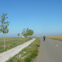 p1000891