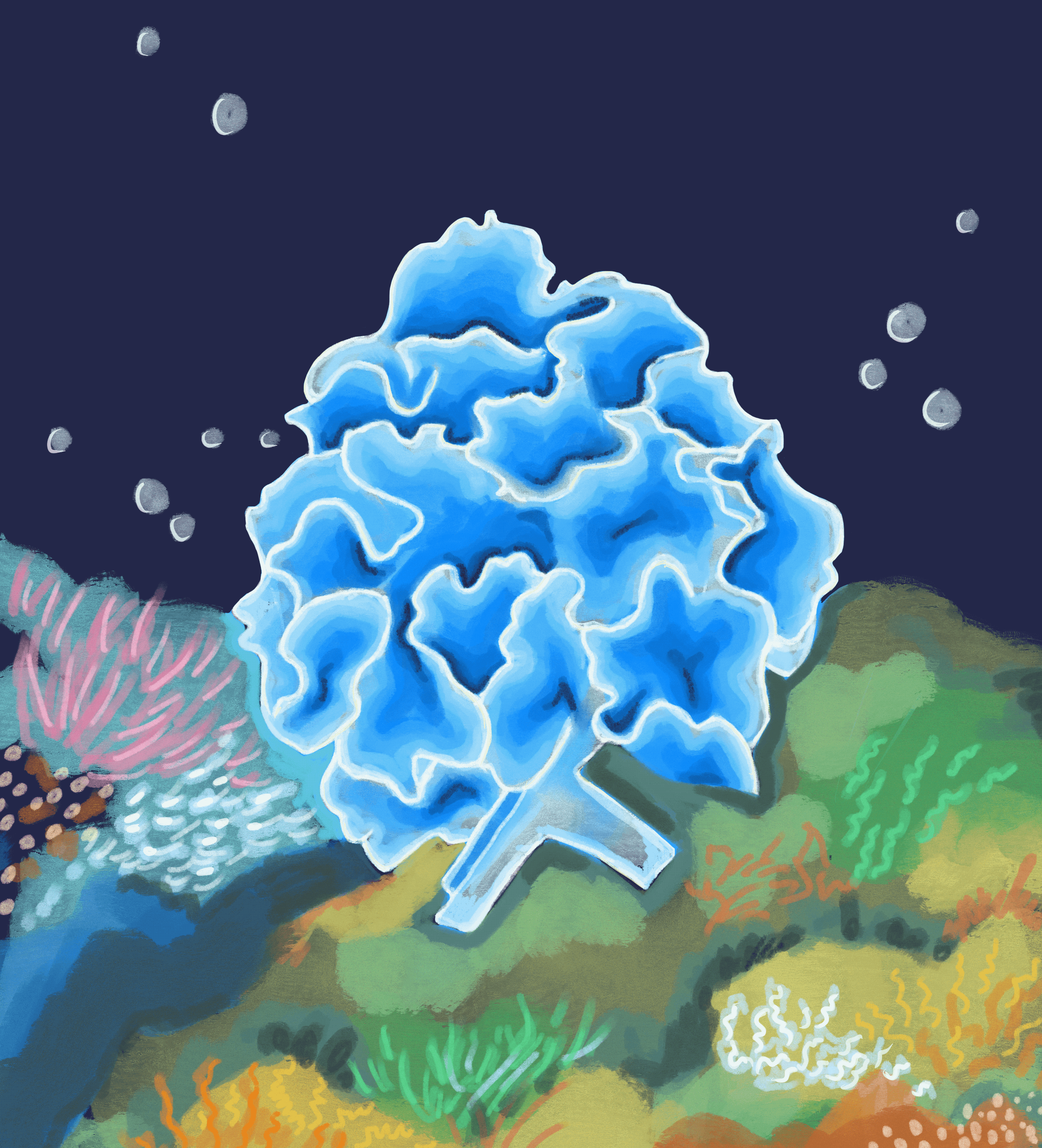 IMG_1175.GIF
