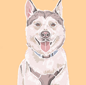 IMG_1132_edited.png