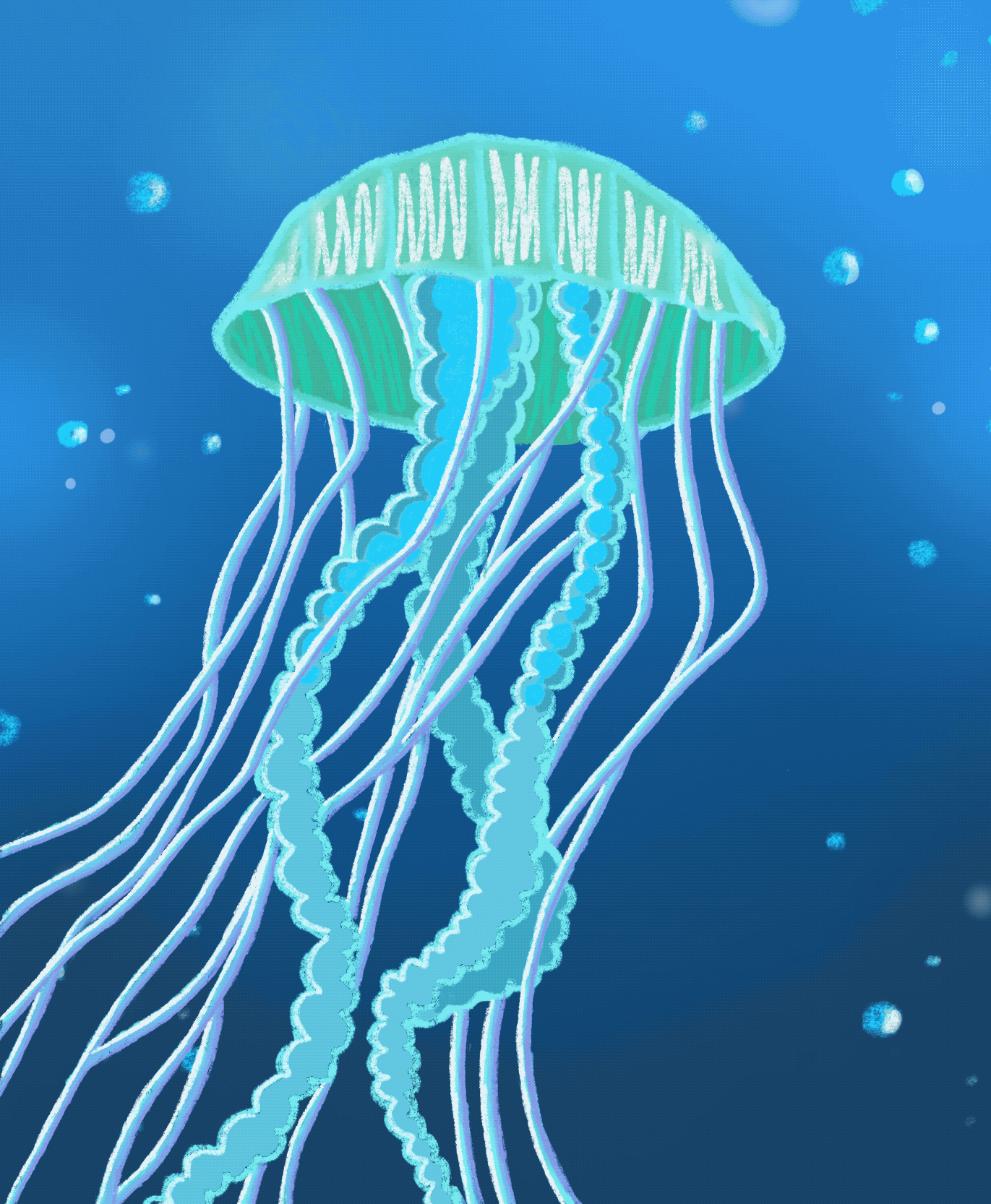 IMG_1134.gif