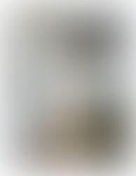 2階会議室 改修工事を行いました