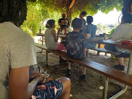 Community Organized Support, Pollinators.