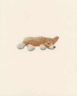 Annie Bissett - Douglas