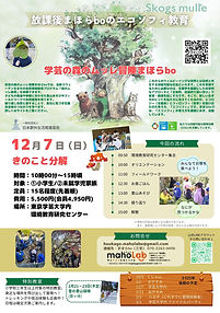 202511　12月冒険案内 (1).jpg