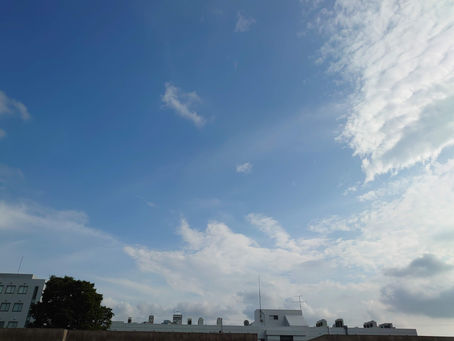 じっくり成長しよう