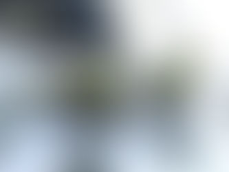 遊びの研究③/遊びを多面的にみる