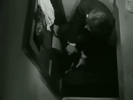 Get Smart You Did It.gif