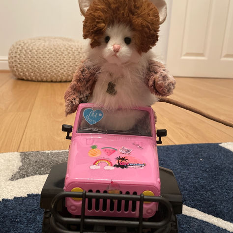 Munchkin The Terrible Spotted In Carpet Town!