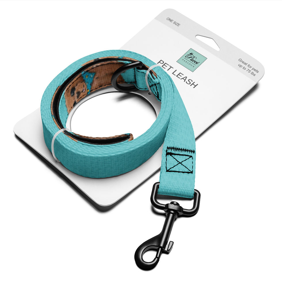 Thumbnail: Doodle Print leash