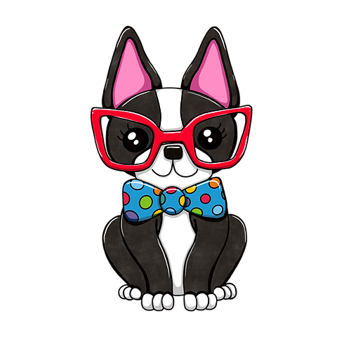 Beans the Boston _ Pucci Parlour _ Pet G