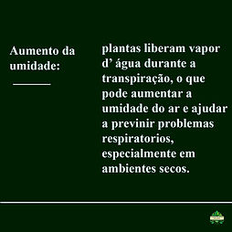 Imagem do WhatsApp de 2025-06-08 à(s) 15.36.44_f9c0ed8f.jpg