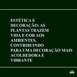 Imagem do WhatsApp de 2025-06-08 à(s) 15.36.43_0094f912.jpg