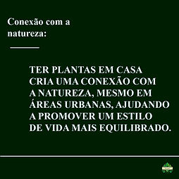 Imagem do WhatsApp de 2025-06-08 à(s) 15.36.43_4be07fb5.jpg