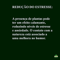 Imagem do WhatsApp de 2025-06-08 à(s) 15.36.43_16f2f64e.jpg