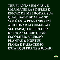 Imagem do WhatsApp de 2025-06-08 à(s) 15.36.44_45040f82.jpg