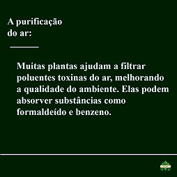 Imagem do WhatsApp de 2025-06-08 à(s) 15.36.44_158c700e.jpg