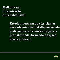 Imagem do WhatsApp de 2025-06-08 à(s) 15.36.43_f1e3715f.jpg