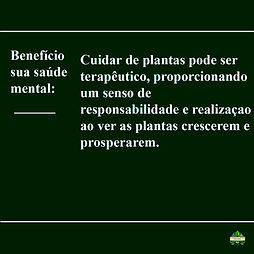 Imagem do WhatsApp de 2025-06-08 à(s) 15.36.42_96cf922b.jpg