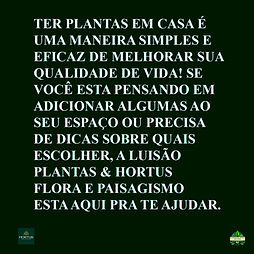 Imagem do WhatsApp de 2025-06-08 à(s) 15.36.44_45040f82.jpg