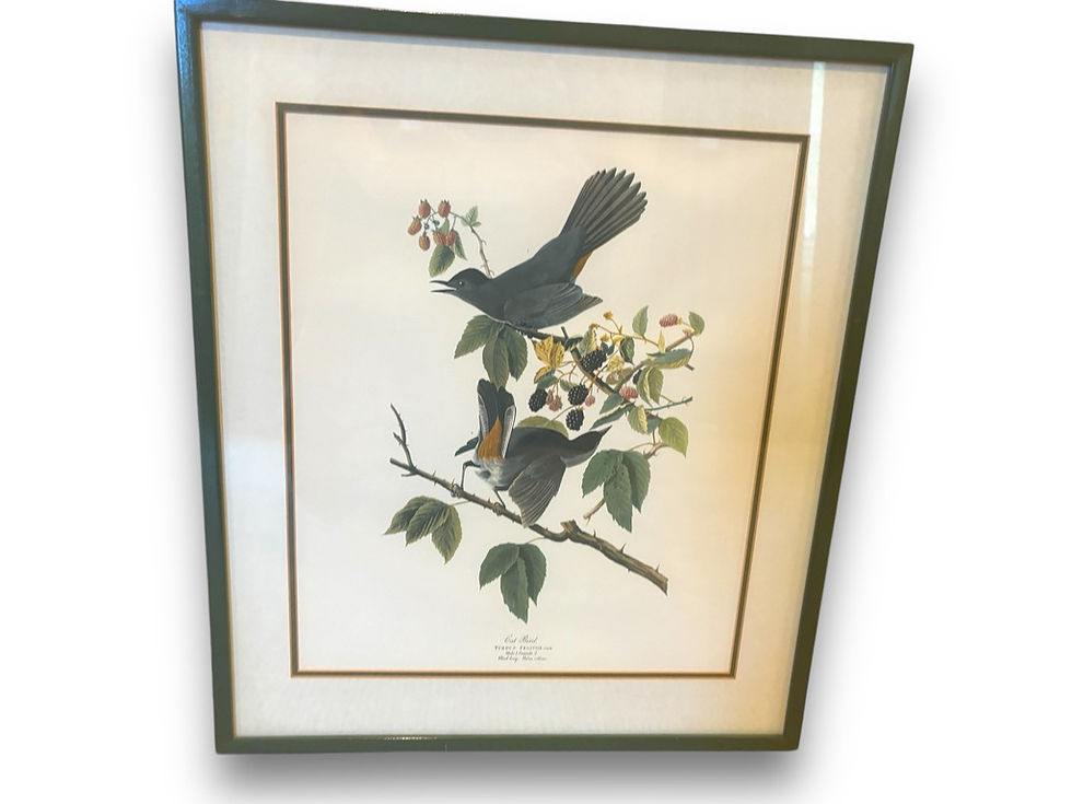 Thumbnail: PAIR OF TURDUS FELIVOX WHIPPOORWILL CAT AND BIRD PRINTS