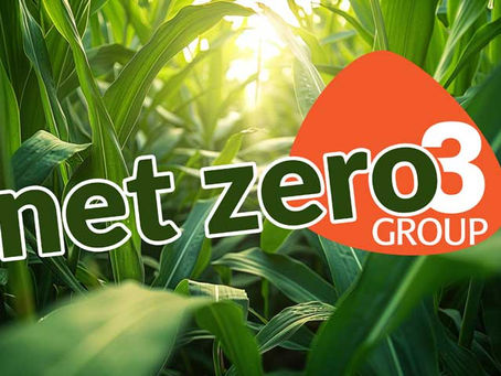 Our Net Zero Roadmap: Sustainability in Every Flush